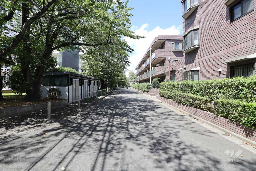 敷地東側の前面道路