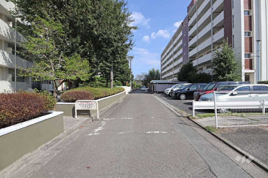 敷地南側の前面道路（西側から）