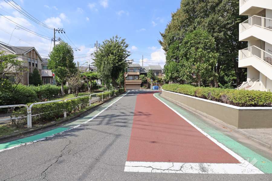 敷地西側の前面道路（南側から）