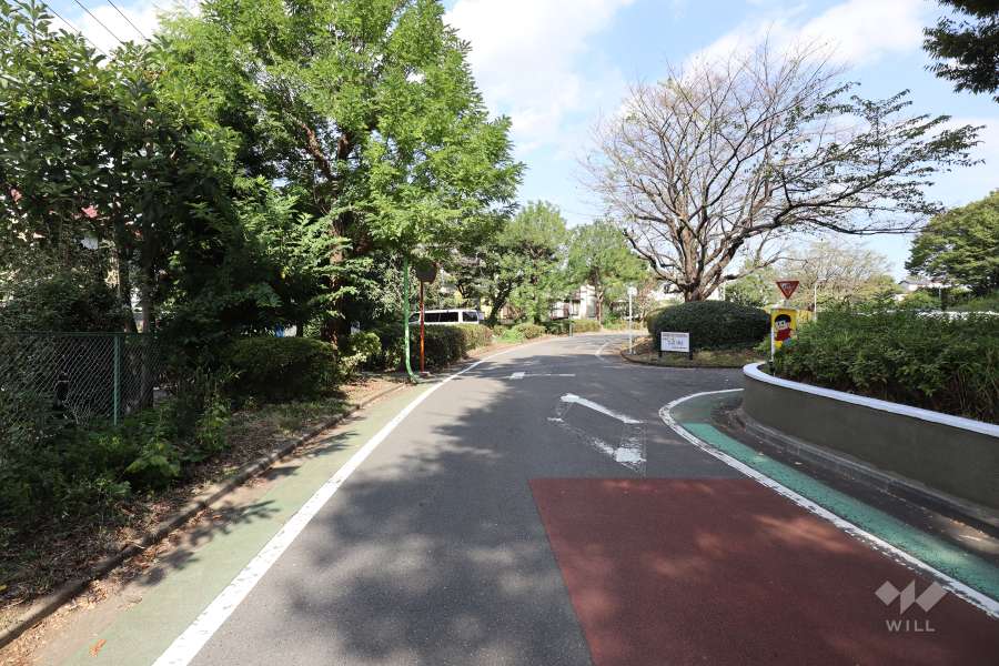 敷地北西側の前面道路（西側から）