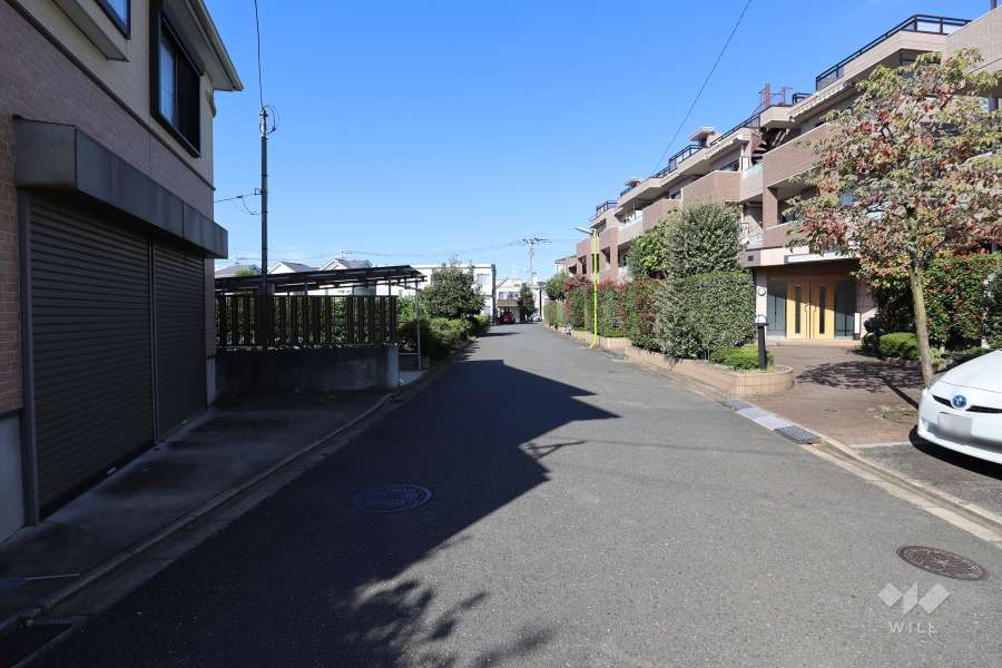 敷地の西側前面道路（南側から）