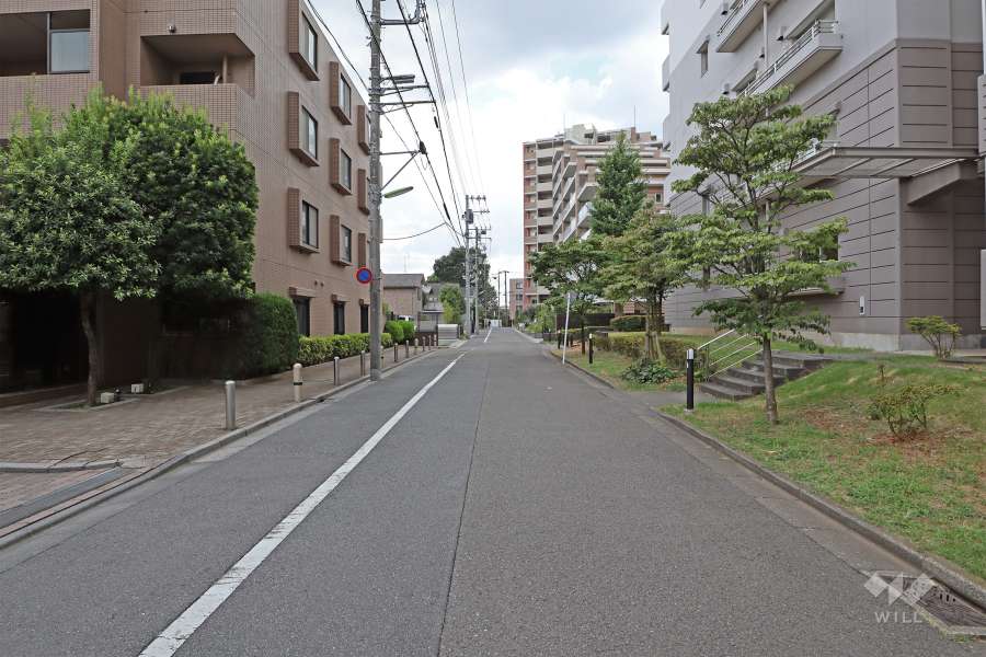 敷地西側前面道路(北側から)