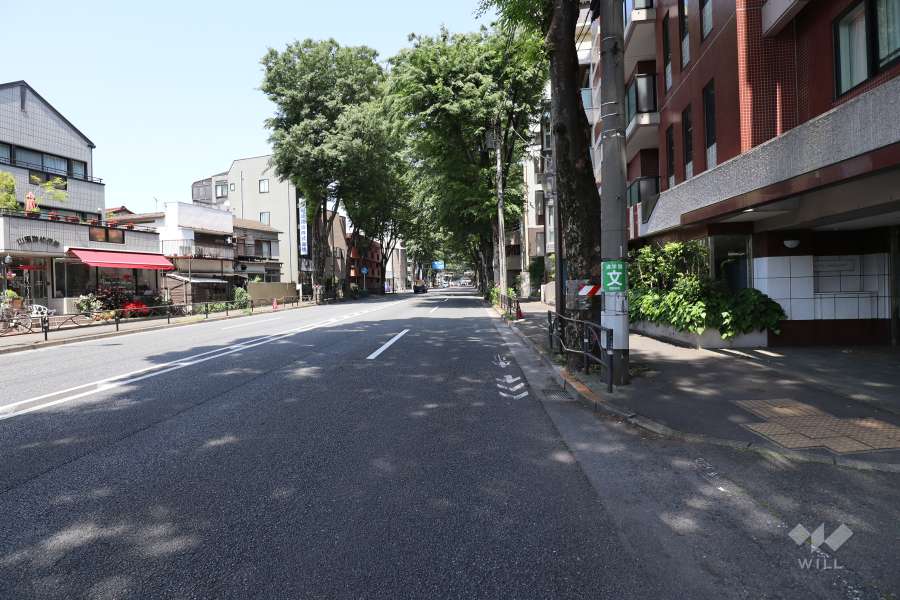 敷地北側の前面道路（西側から）