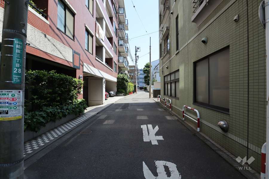 敷地西側の前面道路（北側から）