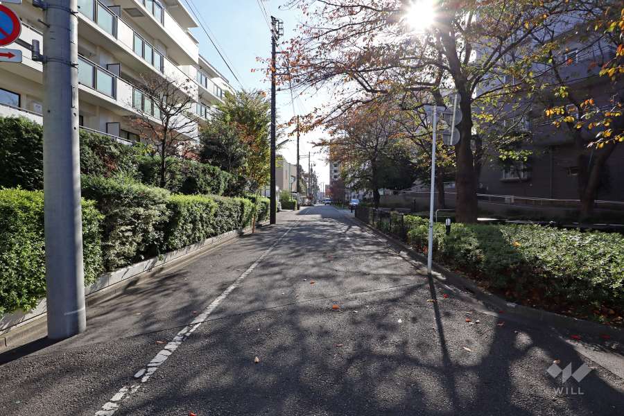 敷地西側の前面道路