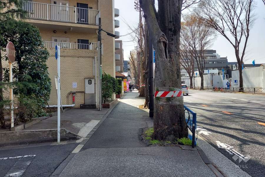 敷地北側の前面道路の歩道