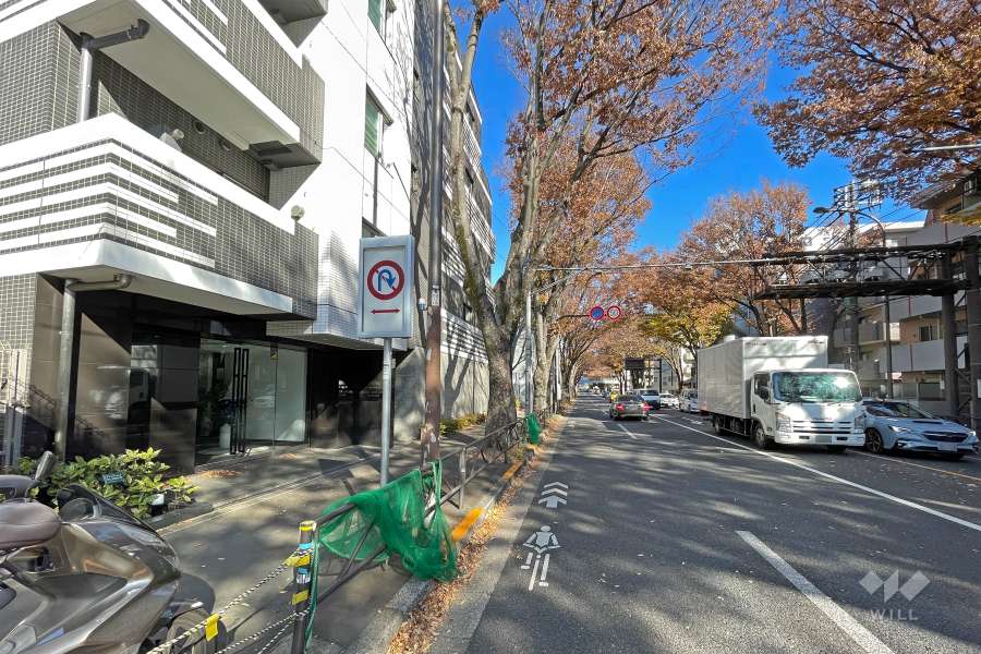 敷地の南側前面道路（西側から）
