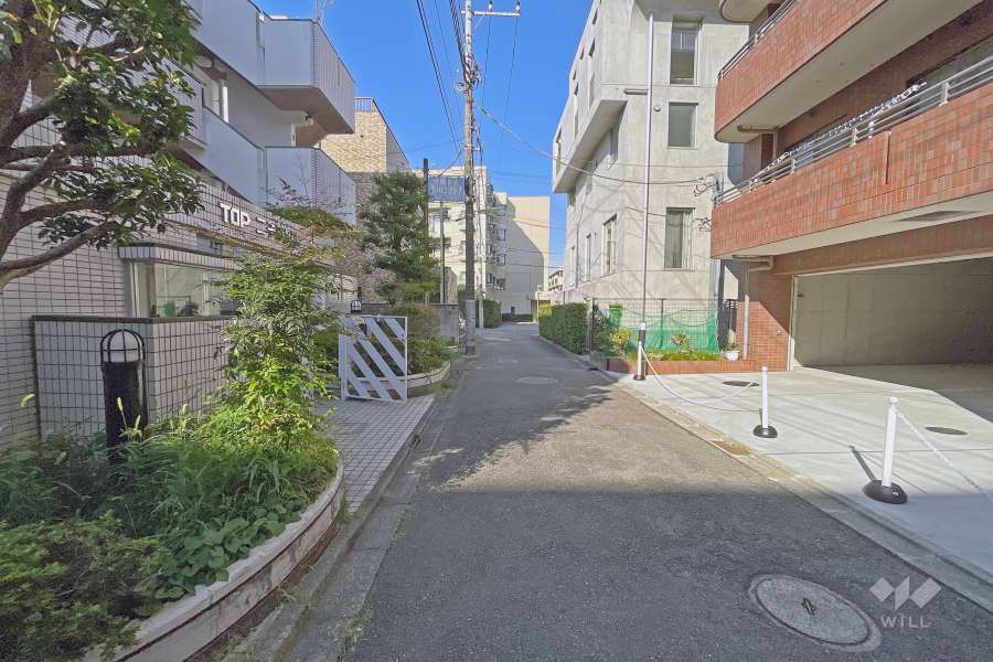 敷地北側の前面道路（西側から）