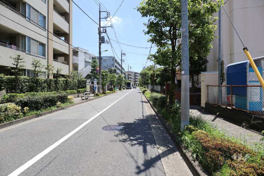 敷地北側の前面道路(北西側から)
