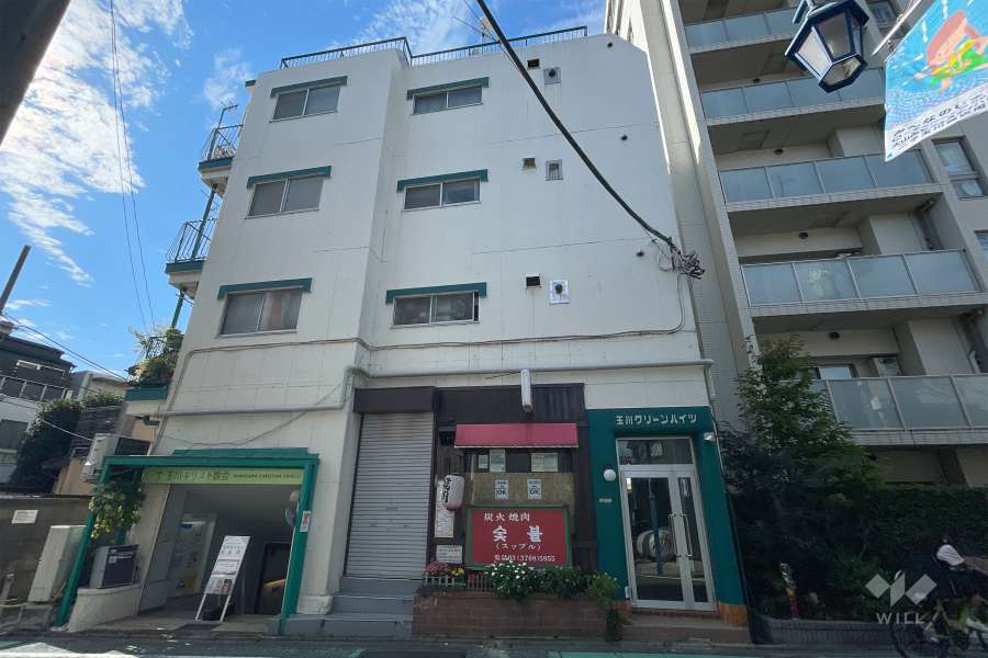 玉川グリーンハイツの外観（東側から）