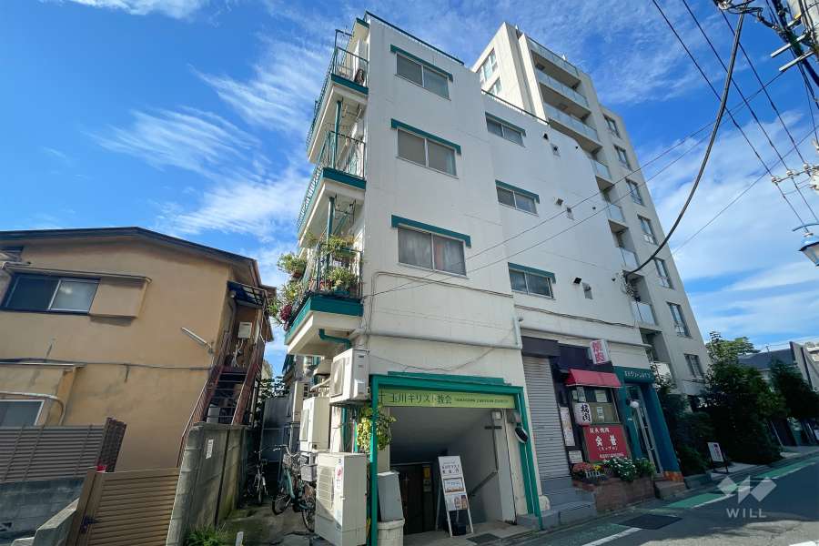 玉川グリーンハイツの外観（南東側から）