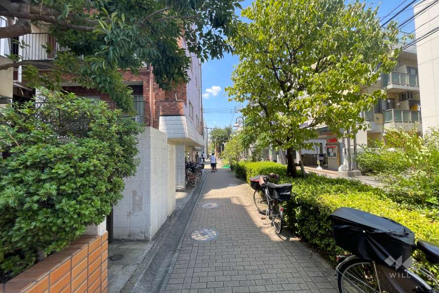 敷地の北側前面通路（東側から）