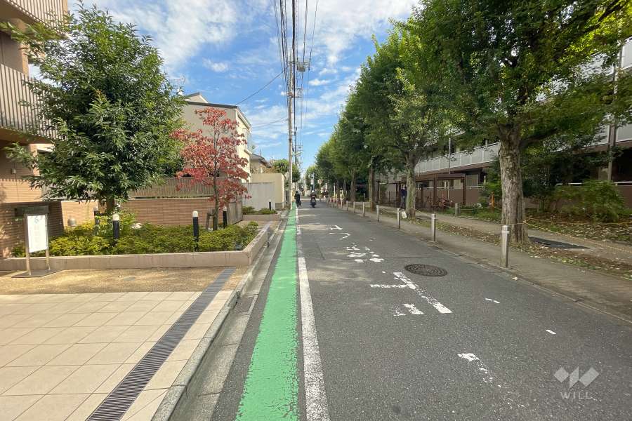 敷地南側の前面道路（西側から）