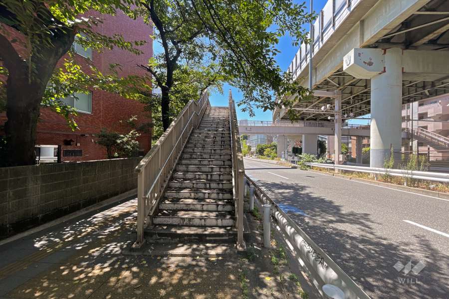 敷地西側の前面道路（北側から）