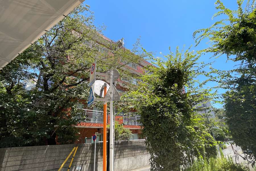 シャンボール二子玉川園の外観（南西側から）