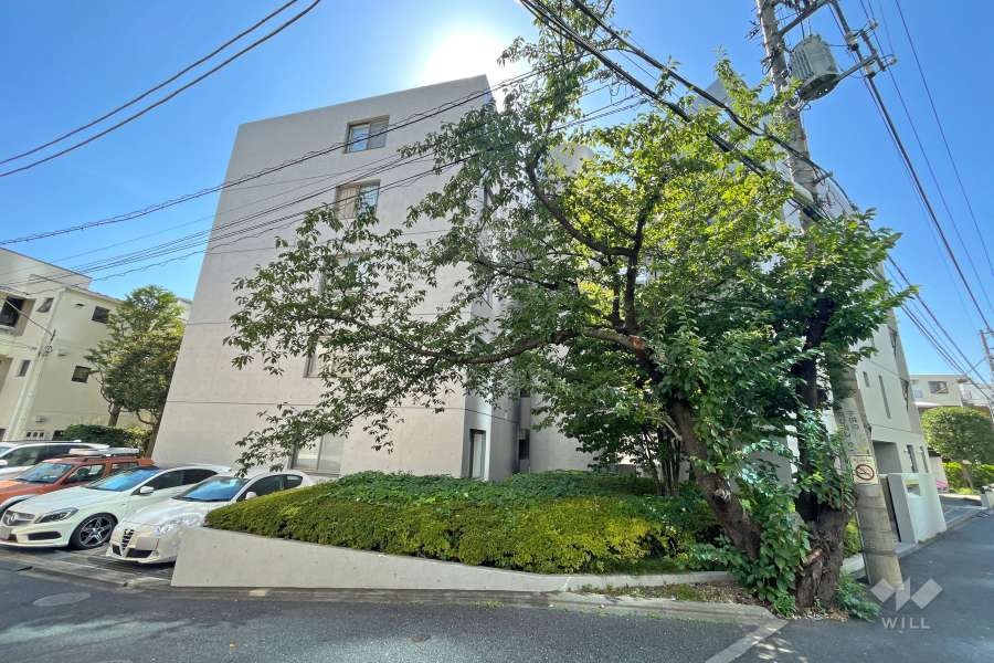 パセオ二子玉川の外観（南東側から）