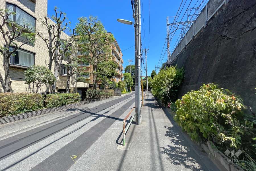 敷地東側の前面道路（南側から）