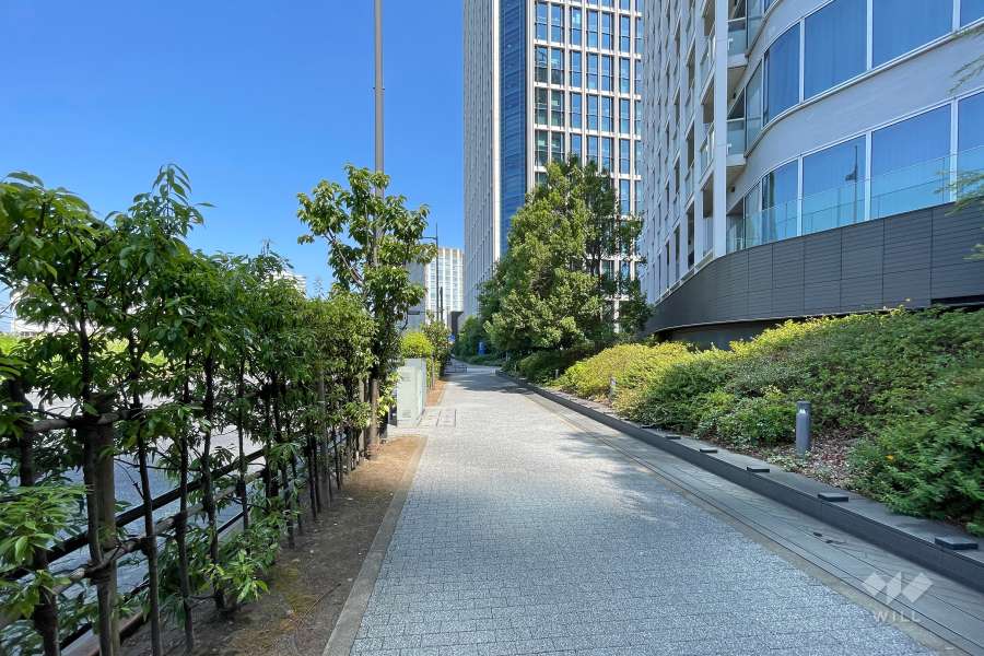 敷地南西側の前面道路