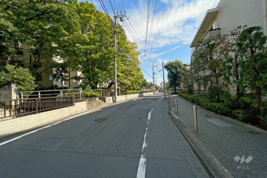 敷地北東側の前面道路（北西側から）