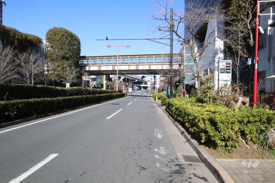 敷地西側の前面道路