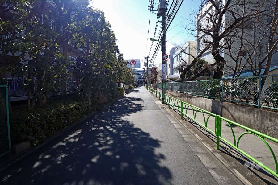 敷地西側の前面道路(北側から)