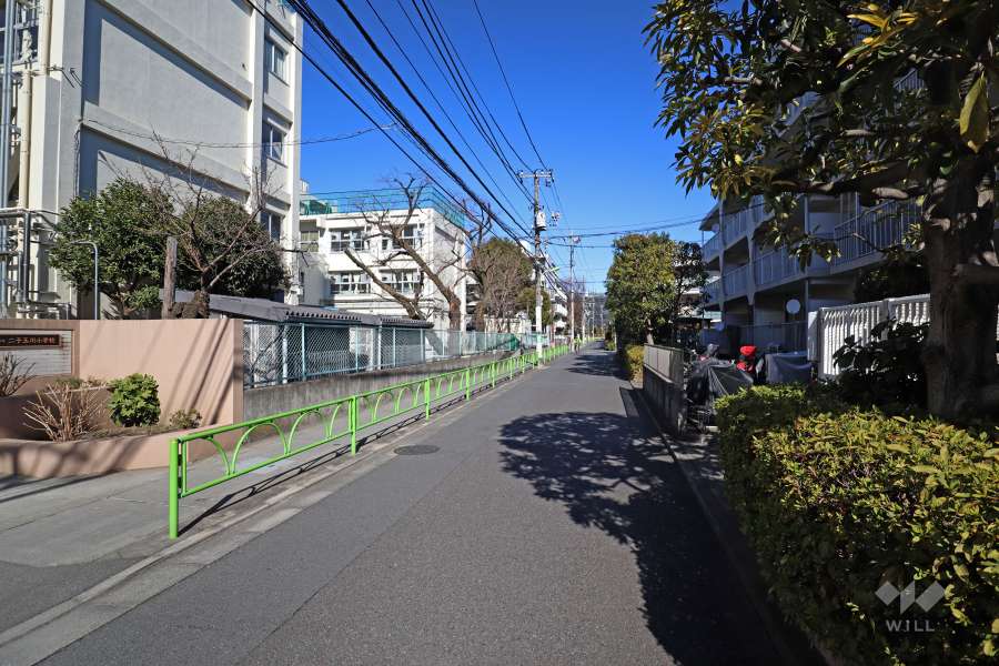 敷地西側の前面道路(南側から)