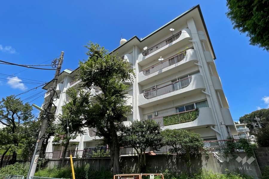 第二上野毛マープル松原の外観（南側から）