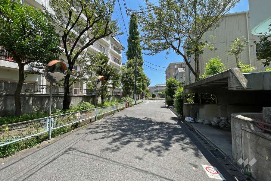 敷地西側の前面道路（北側から）