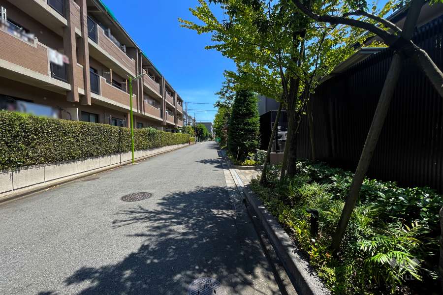 敷地北側の前面道路（西側から）