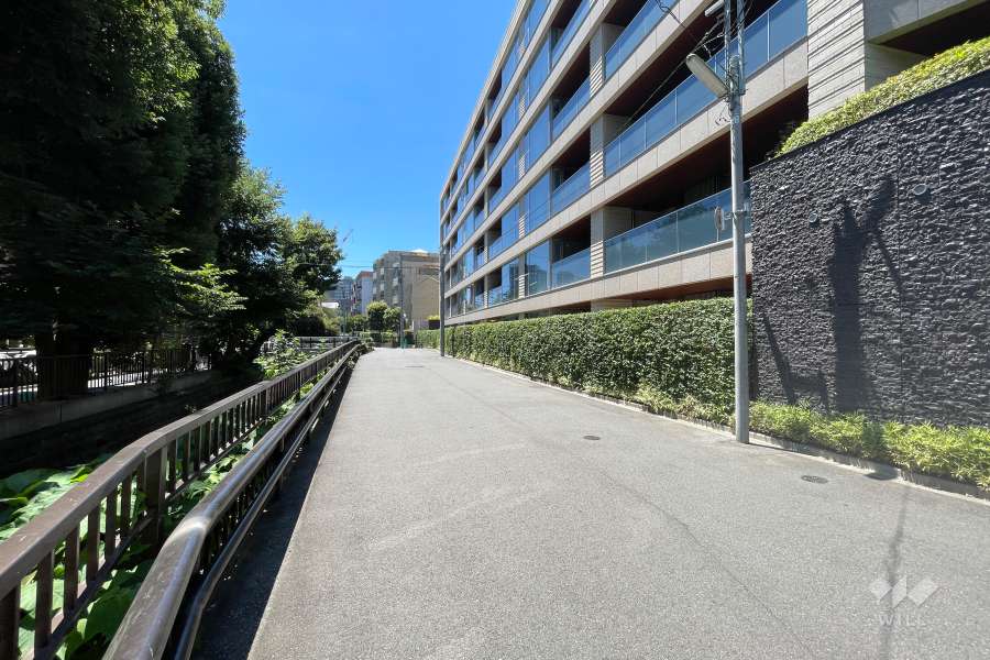敷地東側の前面道路（北側から）