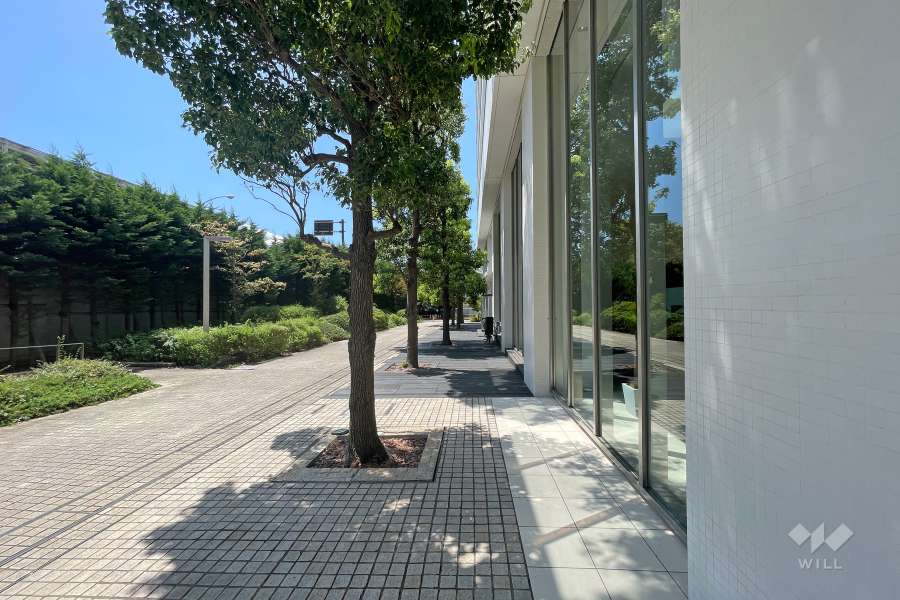 敷地東側の前面通路（北側から）