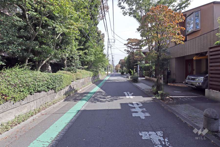 敷地南側の前面道路（東側から）