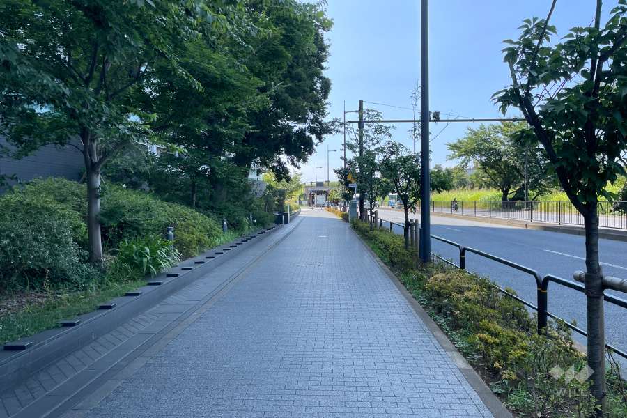 敷地南西側の前面道路（北西側から）