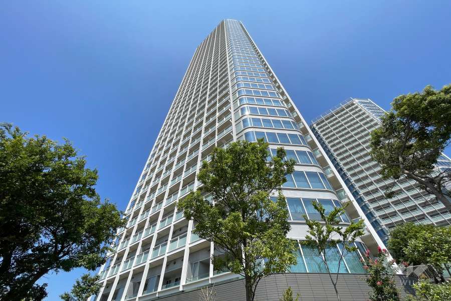 二子玉川ライズタワー＆レジデンスタワーイーストの外観（南側から）