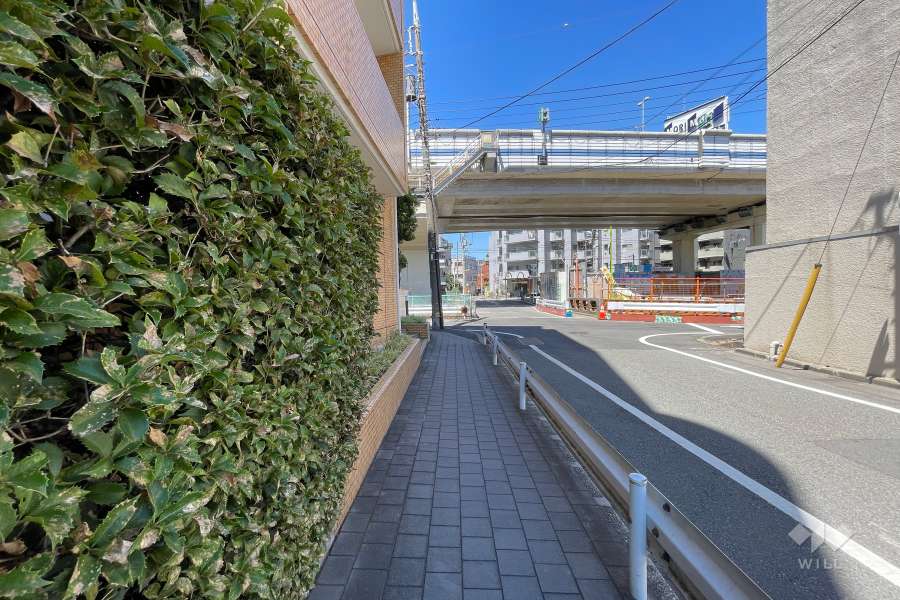 敷地東側の前面道路（南側から）
