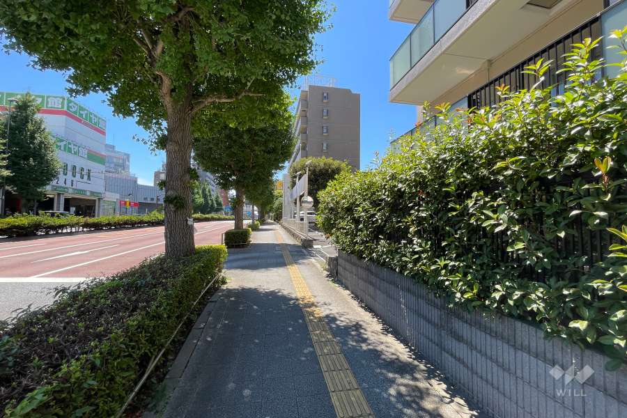 敷地南東側の前面道路（北東側から）