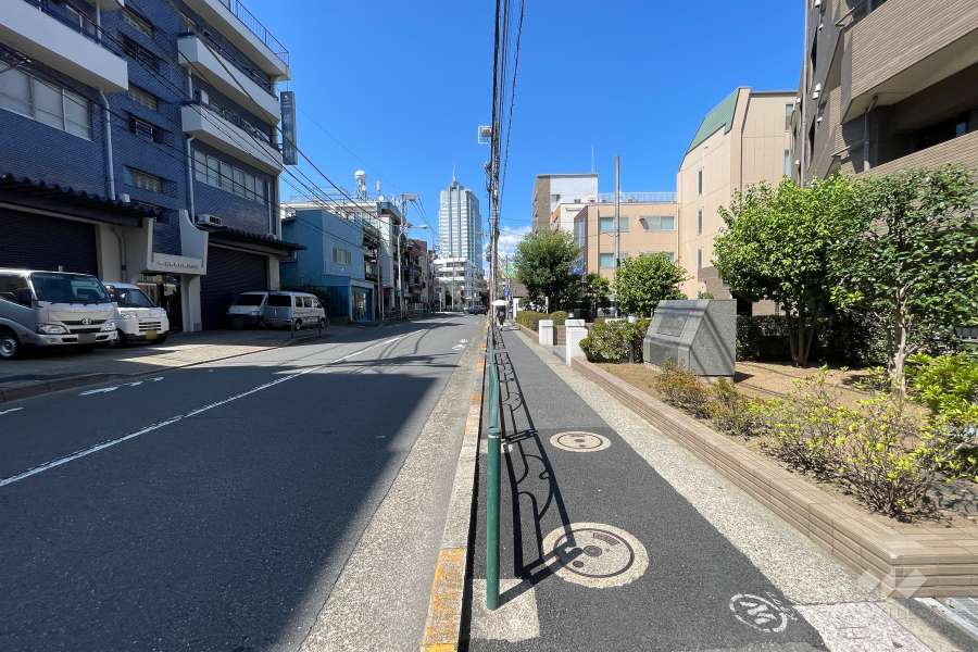 敷地西側の前面道路（南側から）