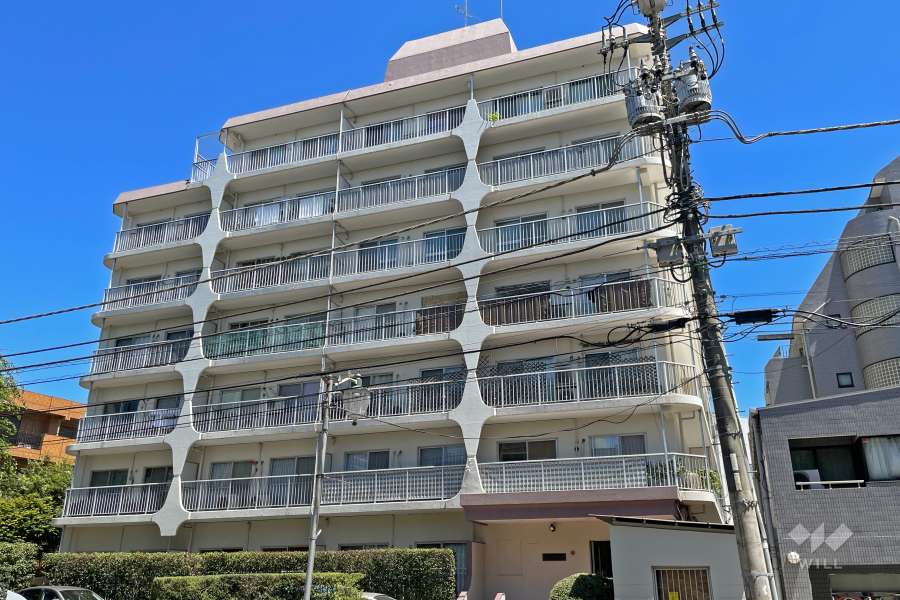 日商岩井第2玉川台マンションの外観（西側から）