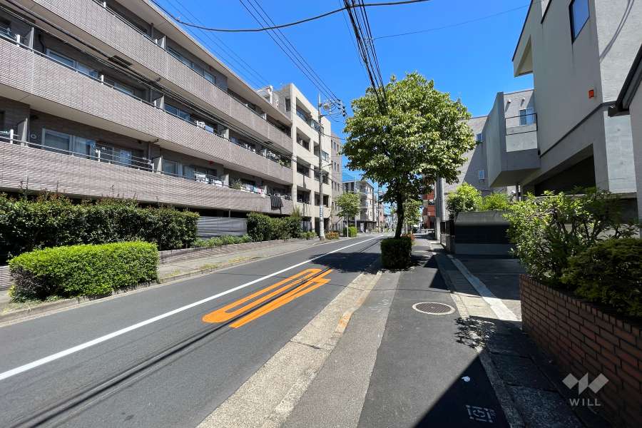 敷地南西側の前面道路（北西側から）