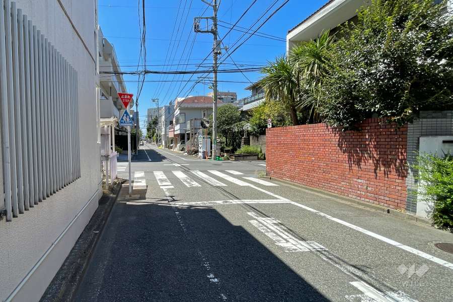 敷地北東側の前面道路（南東側から）