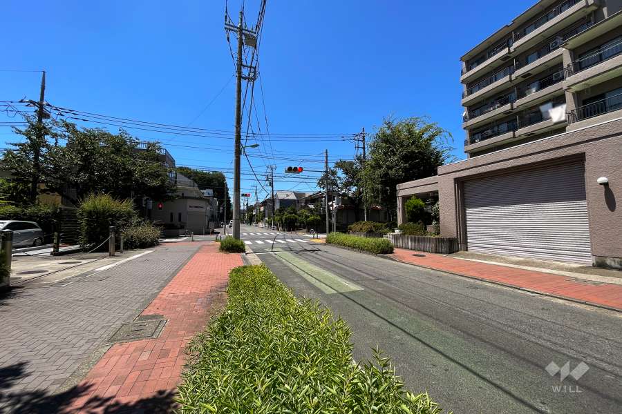 敷地南側の前面道路（東側から）
