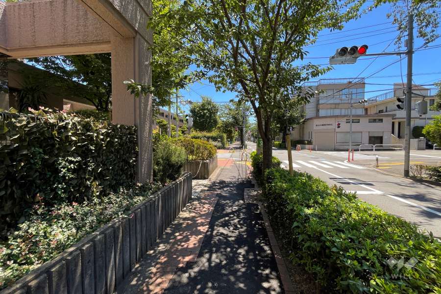 敷地西側の前面道路（北側から）