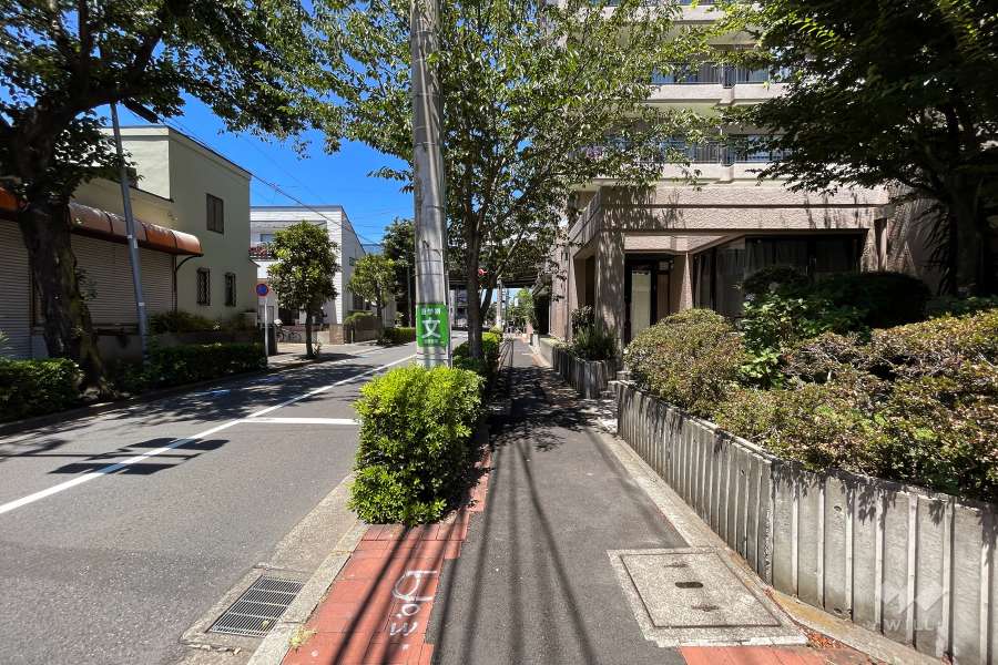 敷地西側の前面道路（南側から）