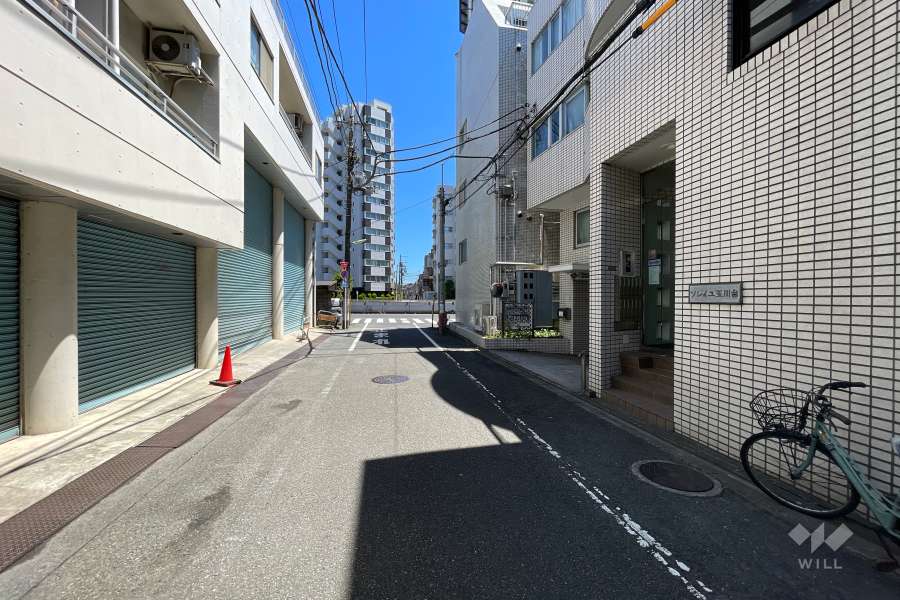 敷地北側の前面道路（西側から）