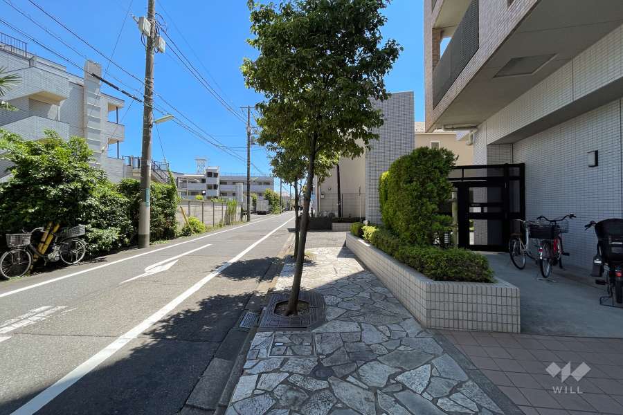 敷地東側の前面道路（北側から）