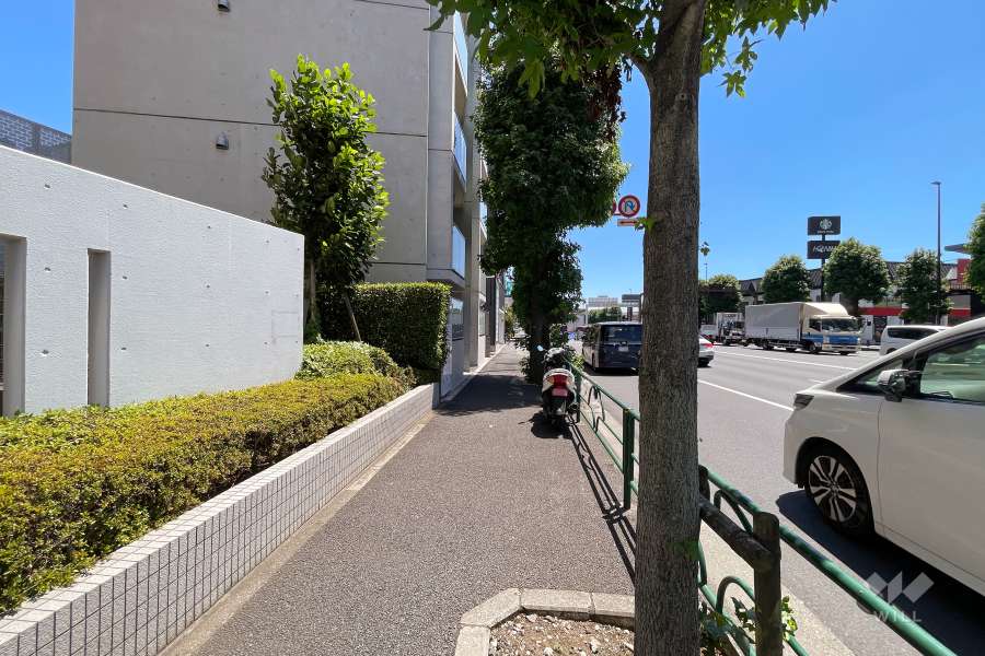 敷地西側の前面道路（北側から）