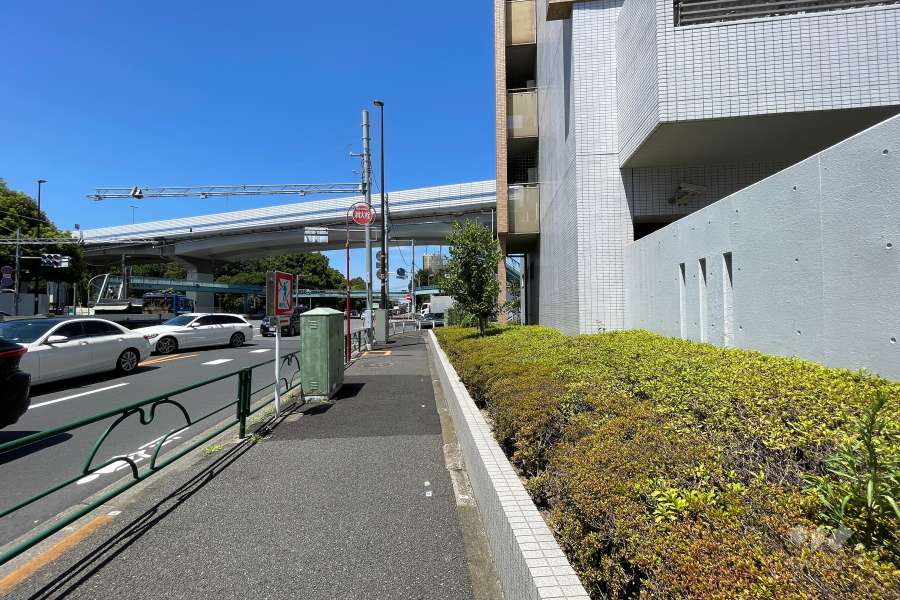 敷地西側の前面道路（南側から）
