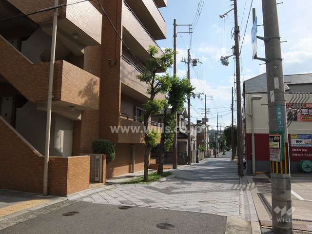 敷地西側の前面道路（北側から）