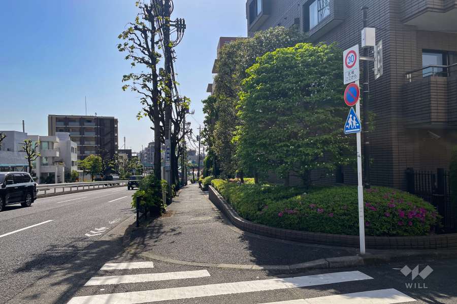 敷地北側の前面道路（西側から）