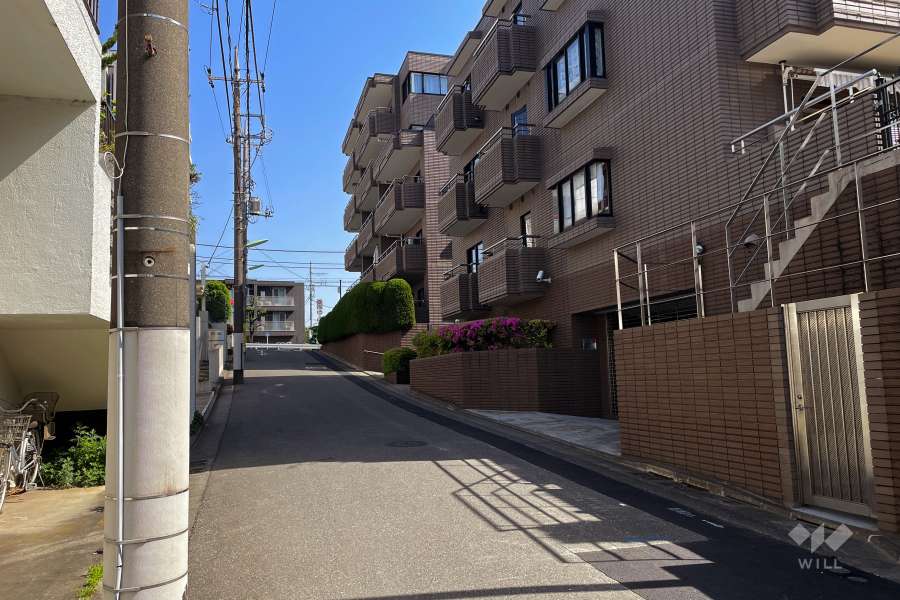 敷地西側の前面道路（南側から）